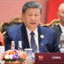 新华社照片，新德里，2026年9月13日
    当地时间9月13日上午，国家主席习近平在新德里出席金砖国家领导人第十八次会晤第二阶段会议，并发表题为《筑牢金砖合作根基　壮大全球南方力量》的重要讲话。
    新华社记者 燕雁 摄